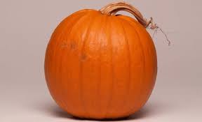 Image result for Cucurbitaceae