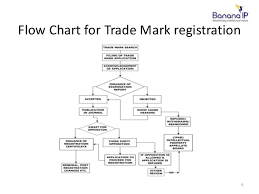 Importance Of Trademark And Registration Process In India