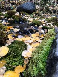 Clifford G. Miller Jr.