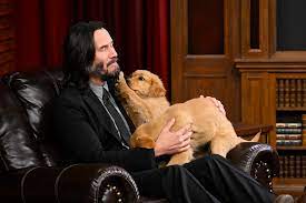 Keanu Reeves with puppies is all we need for the rest of our lives!!!😍  #JohnWick4 - 23.03.23. Get tickets now! 🎟️ bit.ly/TGV-JW4