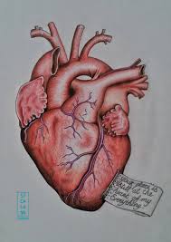 Though heart tattoos are quite popular among people, who like to decorate their bodies with pictures. Anatomical Heart Tattoo Design By Stcalann On Deviantart