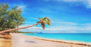 Und das gilt schon ganz von anfang an. All Inclusive Urlaub In Den Schonsten Destinationen
