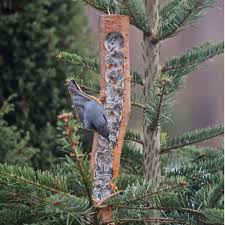 Futterholz Mit Fullung Aus Bestem Vogelfutter Und Rindertalg Vogelfutter Vogel Im Garten Vogelfutterstation