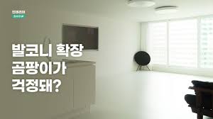 곰팡이 환기 질문 : 클리앙