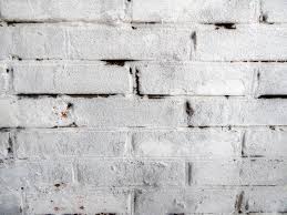 Example of a trendy white brick house exterior design in new orleans. White Brick Wall Background Stock Photo Image Of Backdrop Gray 168639484