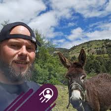 What may be the problem with my Bandit SG40 Stump Grinder?