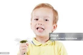 Small Baby Girl With Daisy Stock Photo