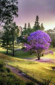 Pin By Love Spells Marriage Spell Career Job Spells Psychic Phone Reading S On Lost Love Spells Guru For Marriage And Other Relationships Call 2778696689 Spring Scenery Landscape Beautiful Landscapes