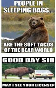 Your Daily Funny Bears Buffalo Animals Tacos Funny Horses Horse Jokes Daily Funny