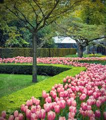 Aber auch das festland hat wunderschöne strände zu bieten und eignen sich ideal für einen strandurlaub in holland. Schone Blume Felder Mit Tulpen Im Keukenhof Garten Holland Lizenzfreie Fotos Bilder Und Stock Fotografie Image 18756632