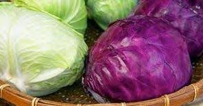 الفوائد الصحية للملفوف أثناء الحمل Avec Images