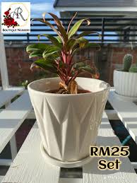 Maybe you would like to learn more about one of these? Set Pokok Hiasan Dalam Pasu Seramik Ar Boutique Nursery Facebook