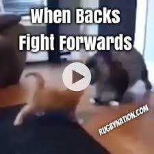 Rugbynation Com On Instagram When Rugby Backs Fight Forwards It Be Like Tag Your Rugby Friends Rwc Rwc2015 Rugbyhits Rugby Fight Backs