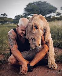 Join facebook to connect with dean schneider and others you may know. Lion Lovers Wa Achievers