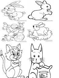 Yang pastinya keren dan bermakna. Gambar Sketsa Kucing Dan Kelinci 81021 Nama Untuk Kucing Comel Lucu Dan Unik