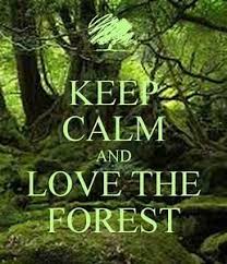 Post author by gedung ilmu; Kuiz Bab 10 10 1 10 2 Sumber Hutan Geografi Tingkatan 3 Proprofs Quiz