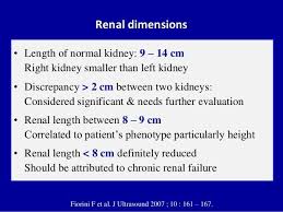 Doppler Ultrasound Of The Kidneys In 2020 Vascular Ultrasound Ultrasound Diagnostic Medical Sonography