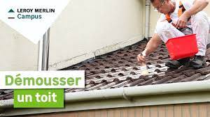La prolifération de mousse sur les toitures fait partie des bêtes noires des propriétaires. Comment Demousser Une Toiture Leroy Merlin Youtube