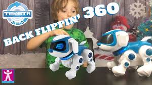 The movie | coming august 2021 for cute dog pics follow @pawpatrol on instagram. Teksta 360 Back Flipping Augmented Reality Robotic Puppy Youtube