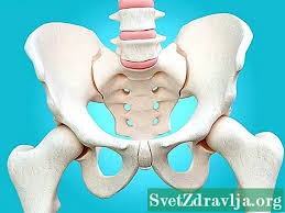 Sumsum tulang sapi biasanya direbus untuk membuat kaldu atau disajikan dalam sup hangat. Pemindahan Tulang Sumsum Jenis Prosedur Risiko Kesihatan 2021