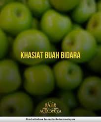 Daun bidara dan buah bidara atau dikenal juga sebagai widara, saat ini sedang booming sebagai tumbuhan yang mengandung banyak manfaat bagi manusia. Kasturi Bidara Khasiat Dan Manfaat Buah Bidara 1 Buah Facebook