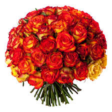 Nouveau bouquet sec de couleur orange 100% séché! Bouquet De 50 Roses Oranges Livraison A Domicile