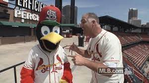 St Louis Cardinals On Twitter Iamscottsinger You Betcha Sally Baby Https T Co Gcvfgcccip Twitter