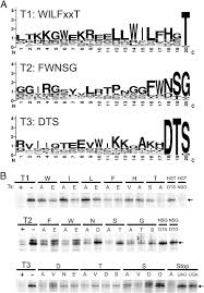 Start studying dna structure and replication pogil. Dna And Rna Worksheet Quizlet Worksheet On Dna Rna And Protein Synthesis Answer Key Quizlet