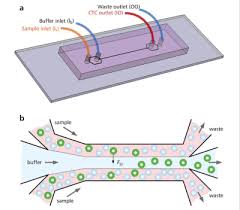 Early cancer detection in 2018, nearly 1.7 million new cases of cancer are expected to be diagnosed in the united states alone, which will result in an estimated 609,640 deaths. Microfluidics Device Detects Cancer Cells In Blood Tech Briefs