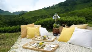 Jika anda seorang backpacker dan hanya memerlukan tempat tidur yang selesa dengan harga yang murah, inilah hotel yang sesuai. Cameron Highlands Resort Cameron Highlands Pahang
