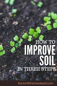 How To Improve Your Soil In 3 Steps Rockin W Homestead Organic Gardening Tips Soil Improvement Organic Vegetable Garden