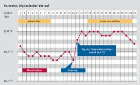 Frauen mit anfang 40 haben ihren eisprung dann meist. Basaltemperaturmethode