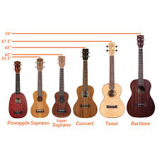 ukulele sizes all 6 types of ukuleles