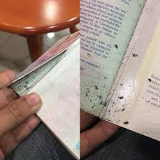 Pasport malaysia) is the passport issued to citizens of malaysia by the immigration department of malaysia (jabatan imigresen malaysia). Singaporean Lodges Report After Malaysian Immigration Officer Allegedly Tore His Passport For Hush Money Coconuts Singapore