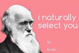 21 Best Science Teacher Memes Bad Valentines Cards Funny Valentines Cards Meme Valentines Cards