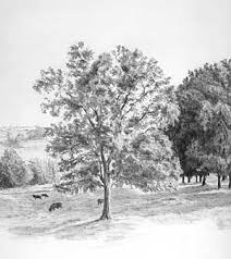 Einen Baum Baume Wald Zeichnen Anleitung Diane Wright Anleitung Baum Baume Diane Einen Wald Wright Z In 2020 Landscape Sketch Tree Drawing Landscape Drawings