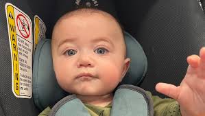 Fundraiser by Jamie Tracey : Kaullus Bjornen Kent--6 Months