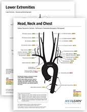 Vascular Coding Charts Related Keywords Suggestions