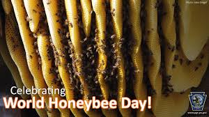 Have you heard the buzz...