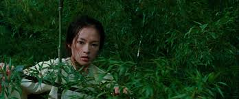 Crouching Tiger, Hidden Dragon (2000)