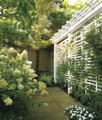 You still literally want some privacy on your own home. 25 Smart And Stylish Garden Screening Ideas Digsdigs