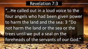 Image result for images Revelation 7:3