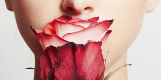 Walmart.com has been visited by 1m+ users in the past month How To Keep Roses Alive Wholesale Flowers Plants And Supplies Roobos