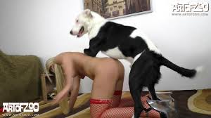 Chien baise milf porno