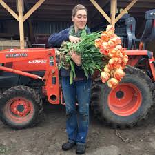 Florets favorites: Tulips - Floret Flowers