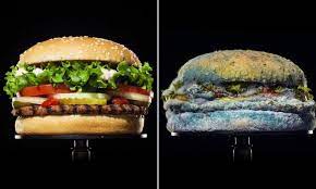 Burger King Releases New Campaign Showing Its Whopper Covered In Mold Daily Mail Online