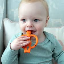 Animal Teether