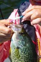 Conneaut Lake: Small Lake, Big Fish