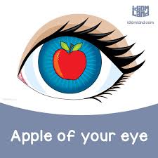 Keep my law as the apple of thine eye you are the apple of my eye what does it mean when god uses this phrase in scripture? Idiom Of The Day Apple Of Your Eye Meaning The Person Who You Love Most Idiom Idioms English Learnenglish English Idioms Idioms English Vocabulary