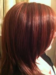 Red Lowlights W Brown Light Auburn Hair Hair Color Highlights Auburn Hair With Highlights